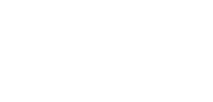 Pico Plus