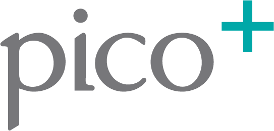 Pico logo 3265C