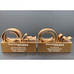 Best Event for Community Service - Bronze